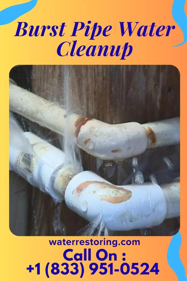 Burst Pipe Water Cleanup in Cumby, TX