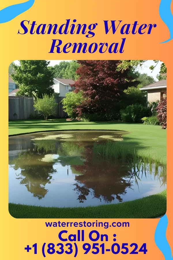 Standing Water Removal in Cumby, TX
